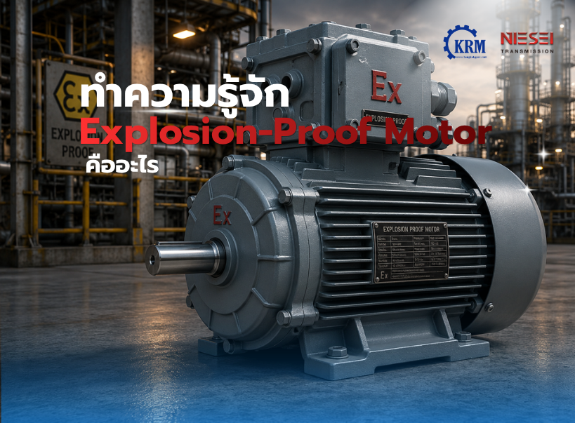 Explosion-Proof Motor