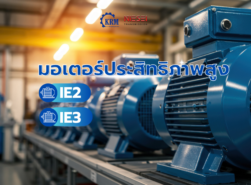 มอเตอร์ประสิทธิภาพสูง