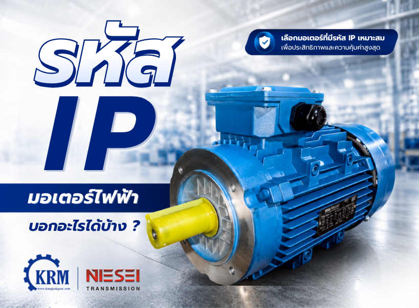 รหัส IP มอเตอร์ไฟฟ้า บอกอะไรได้บ้าง ?